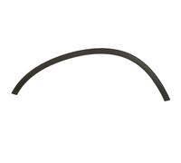 Aile - moulure / protection BLIC 5703-08-2957371P