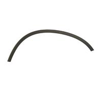 Aile - moulure / protection BLIC 5703-08-2957372P