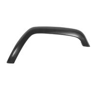 Aile - moulure / protection BLIC 5703-08-3203373P