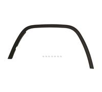 Aile - moulure / protection BLIC 5703-08-3206372P