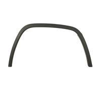 Aile - moulure / protection BLIC 5703-08-3207372P