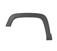 Aile - moulure / protection BLIC 5703-08-3216371P