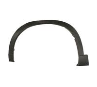 Aile - moulure / protection BLIC 5703-08-3499373P