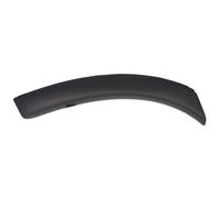 Aile - moulure / protection BLIC 5703-08-3753378P