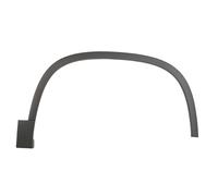 Aile - moulure / protection BLIC 5703-08-9548374P