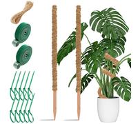 Aileem Lot de 2 piquets en mousse de 60 cm pour plantes grimpantes Monstera, support de plantes grimpantes, piquets pliables en fibre de coco pour plantes grimpantes