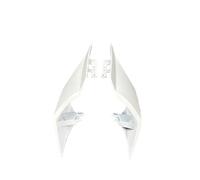 Aileron De Moto pour CFMOTO pour 675SR SS SR-R pour 675NK Moto Couvercle De Carénage Arrière Garniture Queue Capot Siège ABS Course Siège Capot Capot De Carénage(White)