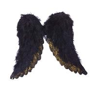 Ailes d'Archange Noir