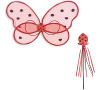 Ailes de fée Coccinelle