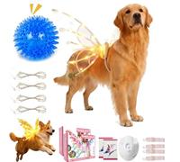 Ailes de fée lumineuses pour chiens, costume d'ailes lumineuses pour animal domestique avec lumières LED, habillez vos chiens comme un papillon, des ailes lumineuses de fée de la forêt, chiot de Noël