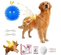 Ailes de fée lumineuses pour chiens, costume d'ailes lumineuses pour animal domestique avec lumières LED, habillez vos chiens comme un papillon, des ailes lumineuses de fée de la forêt, chiot de Noël