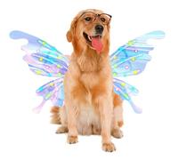 Ailes de Fée pour Filles Avec Lumière LED Électrique Lumineuse Déguisement | Ailes De Papillon Pour Filles Pour Fête De Halloween Cosplay Festival Parc Extérieur Intérieur Noël