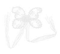 Ailes de papillon en dentelle pour studio photo, accessoires de photographie pour nouveau-né, costume de fond