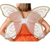 Ailes de papillon or