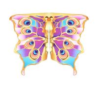 Ailes de Papillon pour Femmes, Ailes de Papillon pour Filles, Costume de Danse du Ventre avec Ailes colorées - Ailes de Danse d'ange Arc-en- , Cape d'action Papillon pour Femmes et Filles