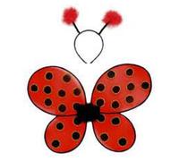 Ailes & Serre-Tête Coccinelle