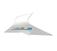 Ailettes carénage Protection latérale de phare avant gauche/droite pour moto, déflecteur, coque protection en ABS, accessoires pour 450SR 450SRS