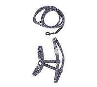 Ailgely Ensemble de Laisse de Harnais pour Chat Mignon Style Japonais avec Un Design Durable pour Une Marche Sécurisée Les Propriétaires d'animaux Compagnie (S)