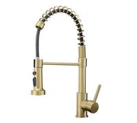 AIMADI Robinet de cuisine doré brossé avec pulvérisateur extractible, poignée unique, robinet à un trou pour évier de cuisine de ferme