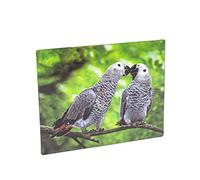 Aimant 3D gris du Gabon