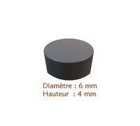 Aimant de bac à grain SAECO P0049 / 996530002095 / 11004160