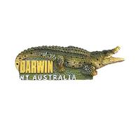 Aimant de réfrigérateur 3D Nt Australie Darwin Crocodile Park Souvenirs touristiques Décoration de maison et de cuisine Aimant de réfrigérateur en provenance de Chine