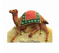 Aimant de réfrigérateur 3D Rajasthan India - Souvenir de voyage - Décoration de cuisine ou de maison