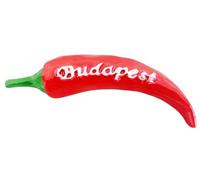 Aimant de réfrigérateur Budapest Hongrie - Souvenir touristique 3D - Décoration pour réfrigérateur - Collection artisanale