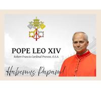 Aimant de réfrigérateur commémoratif du Vatican Pape Léon XIV Robert Francis Prevost fait à la main Idée cadeau 6 x 7 cm environ Pas d'impression 3D Plastique laminé fait à la main Pas 3D Nouveau Pape