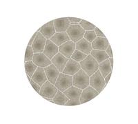 Aimant de réfrigérateur magnétique doux avec impression de pierre Petoskey pour décoration de cuisine, cadeau souvenir