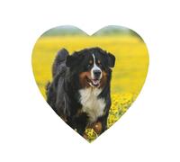 Aimant Doux en Forme de cœur pour réfrigérateur, casier, décoration de Meubles Joyeux Bouvier Bernois