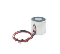 Aimant électrique à démagnétisation de courant, Ø 30 mm x H 25 mm, 15 kg, 150 N, électroaimant à ventouse, DC 12 V 24 V(12V)