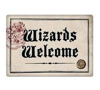 Aimant En Metal Harry Potter Wizards Welcome G