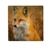 Aimant Frigo Céramique Carré - Superbe Renard Champs de Ble Prairie Nature Sauvage - Format 5x5cm Magnet Décoratif Souvenir pour Réfrigérateur et Tableau Magnétique Imprimé en France