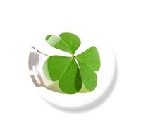 Aimant trèfle for réfrigérateur, 6 pièces, Autocollants Shamrock à Quatre Feuilles, dôme en Verre Porte-Bonheur, aimants for, décoration de la Maison(Color-11)