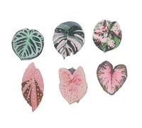 Aimants de réfrigérateur à feuilles mignonnes, autocollants décoratifs for réfrigérateur à plantes vertes et roses, 12 pièces(Color-02)
