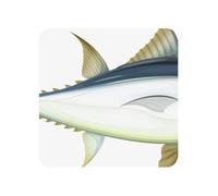 Aimants de réfrigérateur en Acrylique, Gros Poisson, pour Tableau Blanc, décoration de Cuisine et de Meubles,Carré