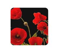 Aimants de réfrigérateur en Acrylique, Motif Floral Abstrait coloré, Motif Coquelicot Rouge, pour décoration de Cuisine et de Meubles,Carré