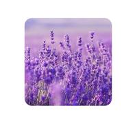 Aimants de réfrigérateur en Acrylique, Motif Paysage Violet de Fleurs de Lavande, pour décoration de Cuisine et de Meubles,Carré
