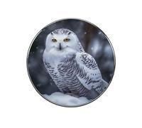 Aimants de réfrigérateur en forme de chouette arctique - Autocollants ronds pour réfrigérateur - Accessoires de décoration pour tableau blanc, bureau et cabine