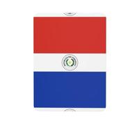 Aimants magnétiques doux pour réfrigérateur avec impression créative - Motif drapeau du Paraguay