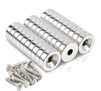 Aimants Néodyme Extra Forts 10x3 mm avec Trou 3 mm, 30 Pcs Ronds Fraisés, Plats Petits, avec Vis en Pot