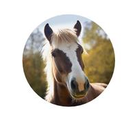 Aimants ronds en acrylique pour réfrigérateur - Motif animal poney cheval - Aimants décoratifs pour réfrigérateur, bureau, tableau blanc, armoires de cuisine, casier