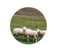 Aimants ronds magnétiques pour réfrigérateur Motif agneaux et moutons, motifs adorables, parfaits pour une décoration d'intérieur personnalisée