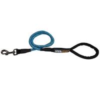 Aimé Laisse de sport pour chien en nylon Longueur 120m Bleue