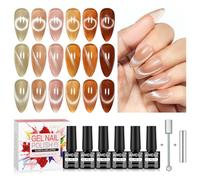 AIMEILI Vernis à Ongles Gel Oeil de Chat, 6 Couleurs Pailleté Cat Eyes Scintillante Glitter Gel Soak Off UV LED Manucure Sain Longue Durée 5ml avec 2 Bâton Magnétique KIT 117