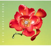 Aimyon Ai No Hana (CD)