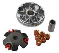 ainih Kit variateur for scooter, rouleau de course 16 x 13 mm, 7 g, compatible avec Agility 50, DJS, Filly, People, Super 8, Vitality, Yager GT cm³, 4 temps h.z