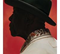 Ain't Done With The Blues Vinyle