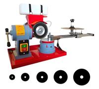 AiODiO Affûteuse de Lames de scie Circulaire électrique avec Refroidissement par Injection d'eau, équipée d'une meule Standard de 5 Pouces. 110v-550w
